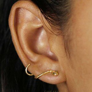 Stud Serpent Climber Snake Earrings: Silver